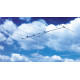 F9FT AFT, elemento excitado de AFT-20505