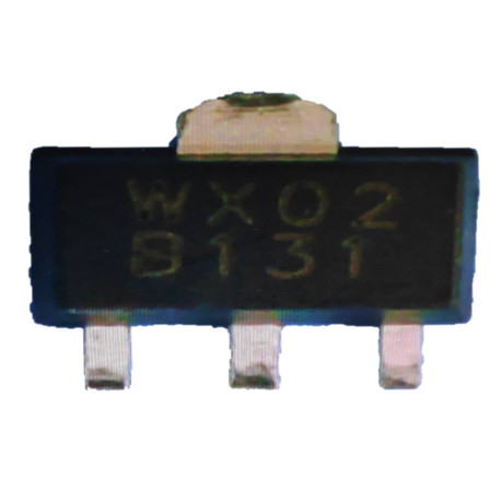 BT31  PS-446