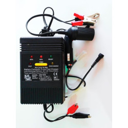 Cargador MinWa MW-7898 Ni-Cd/Ni-Mh entrada 12V