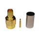 SMA (m) crimpar ( RG-58 y RG-223 ) Dorado