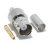 BNC (h) crimpar ( RG-174 )